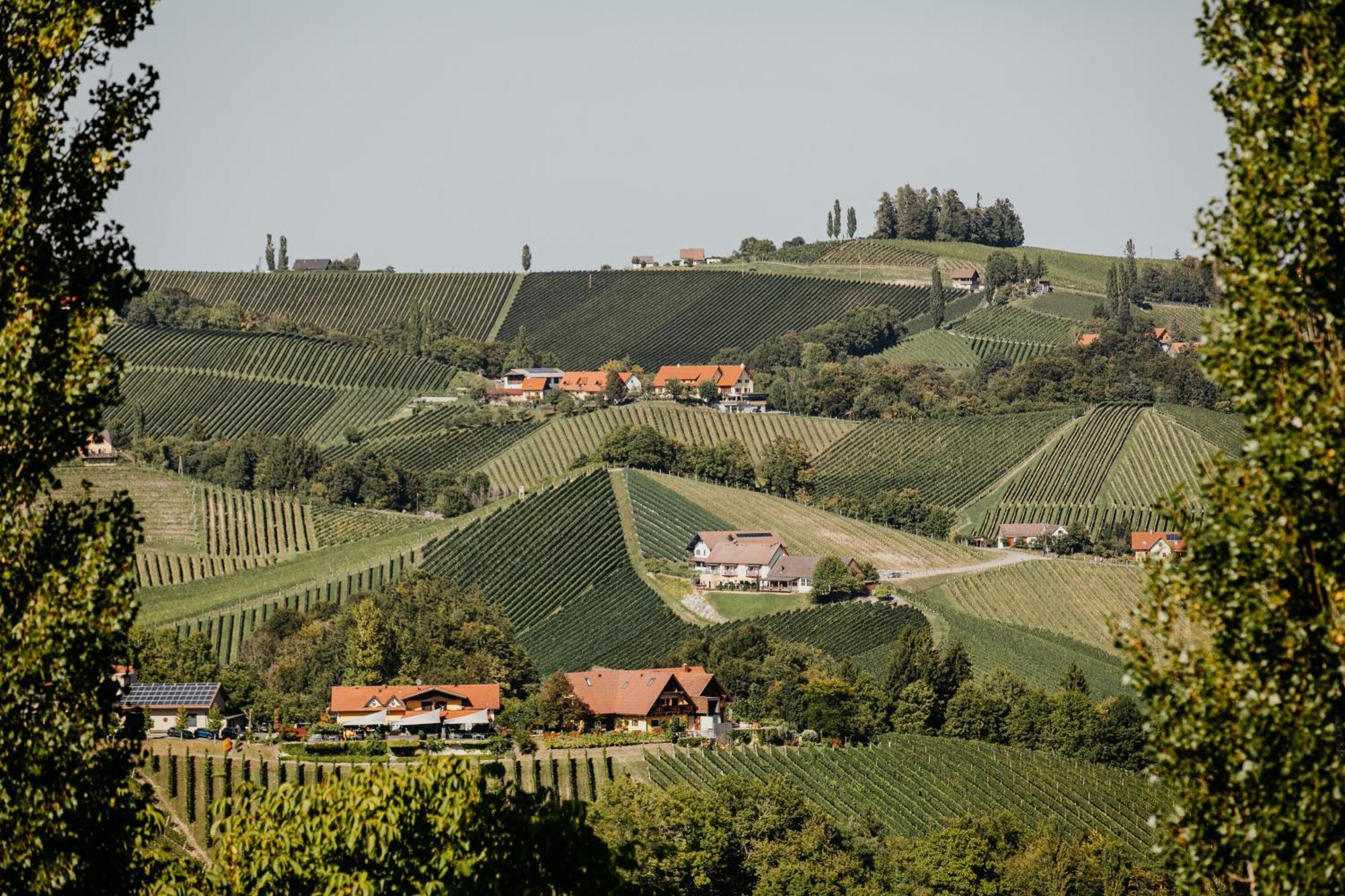 Ferienhaus Am Herbsthof Leutschach Exteriör bild