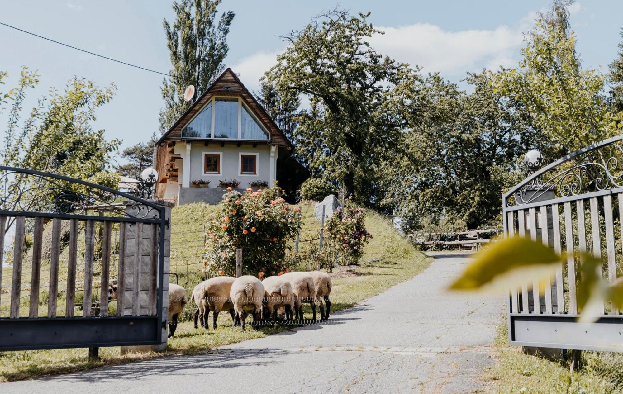 Ferienhaus Am Herbsthof Leutschach Exteriör bild