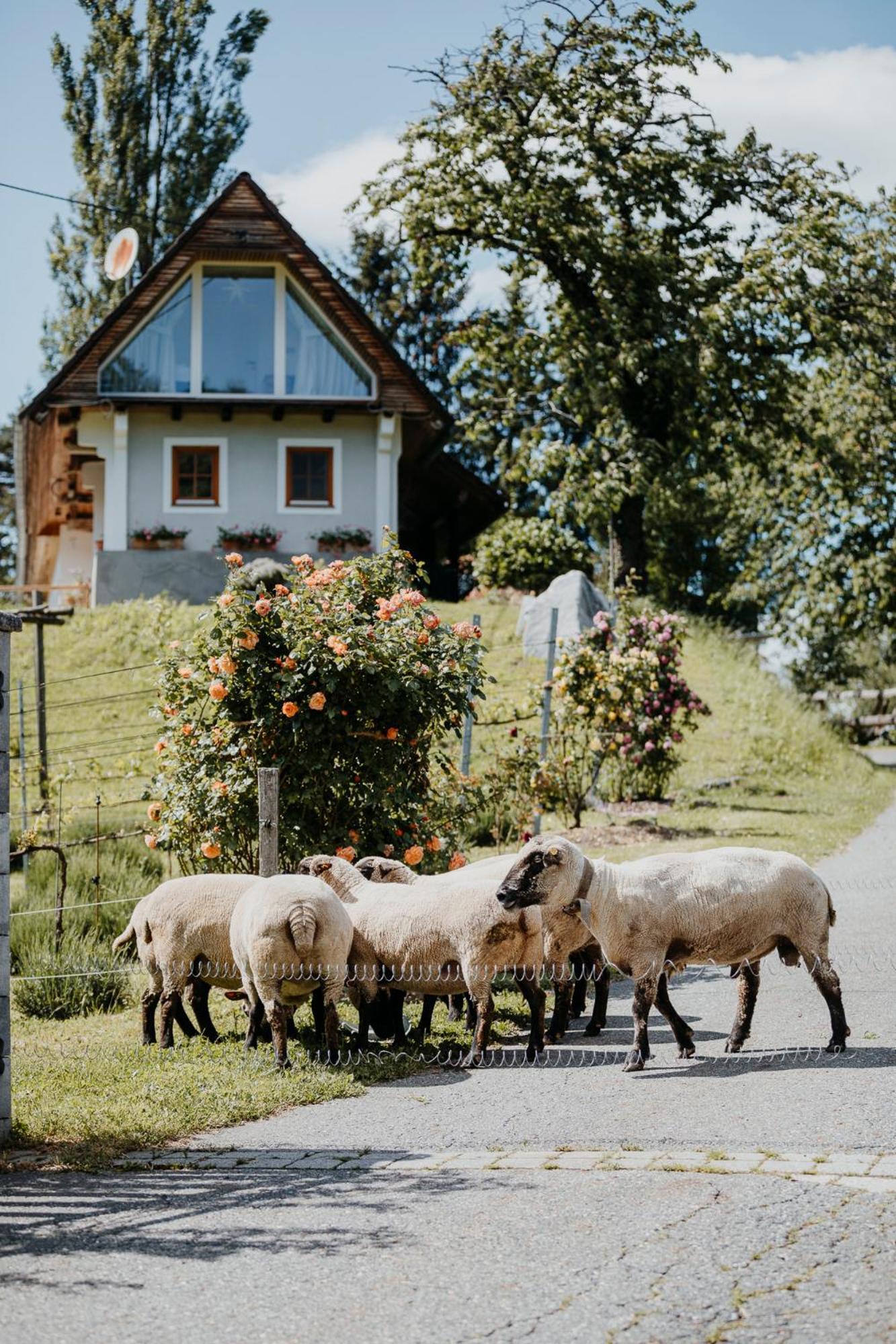 Ferienhaus Am Herbsthof Leutschach Exteriör bild